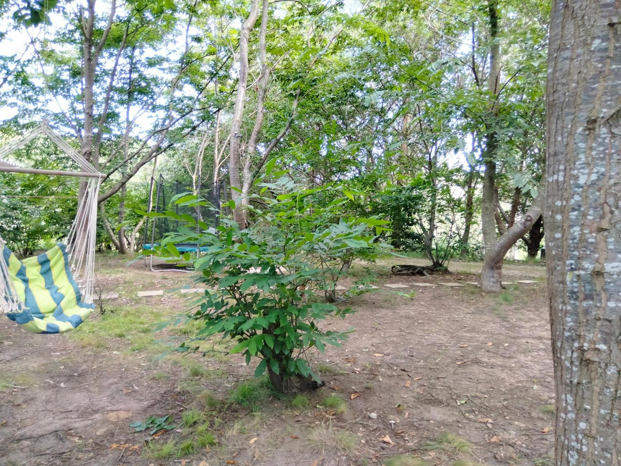 La Finca - Campamento En La Naturaleza Caranceja Room photo
